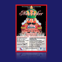 ***100 Flyers printed full color double sided - 11x17, 100lb